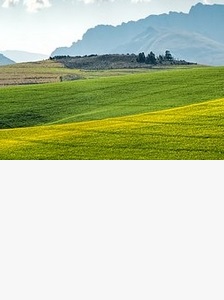 Služby v oblasti podnikové ekologie